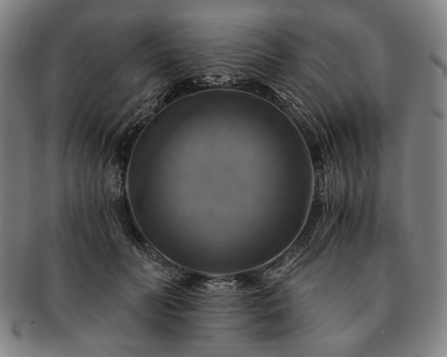 X0000091480606200708231402