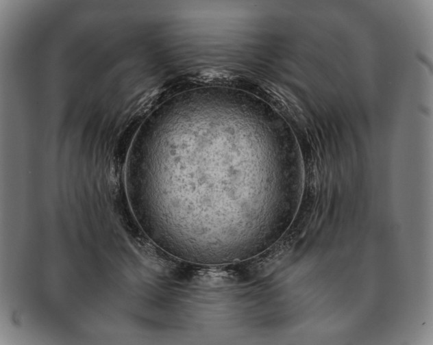 X0000091480607200708231402