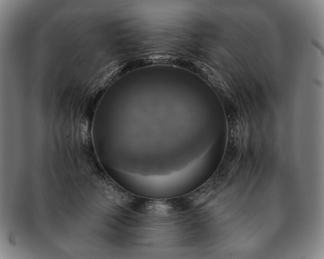 X0000091480610200708231402