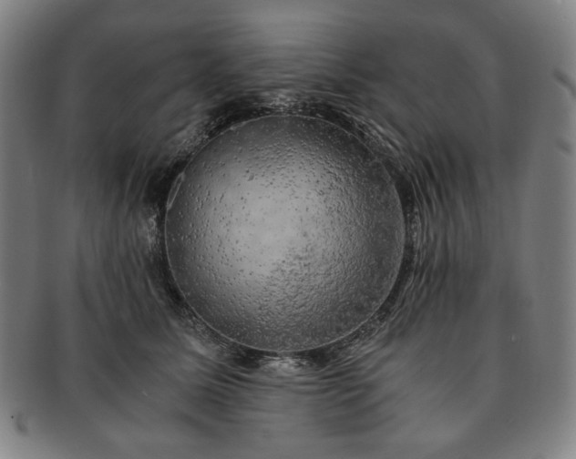 X0000091480611200708231402