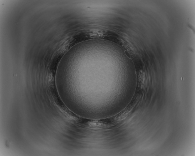 X0000091480614200708231402