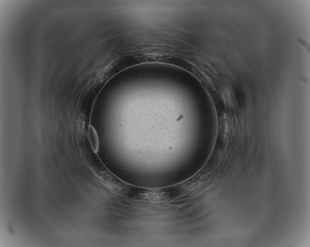 X0000091480615200708231402