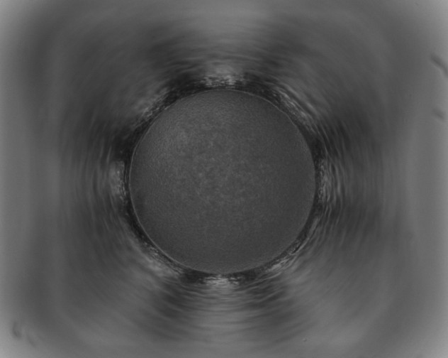 X0000091480616200708231402