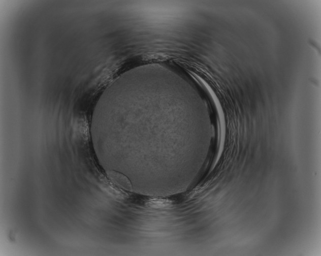 X0000091480617200708231402