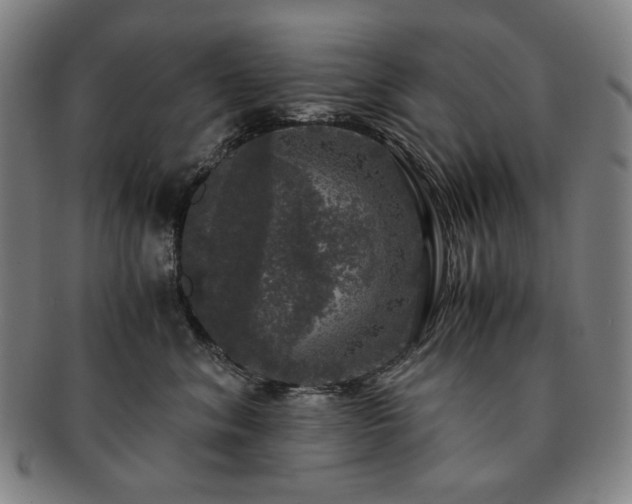 X0000091480620200708231402