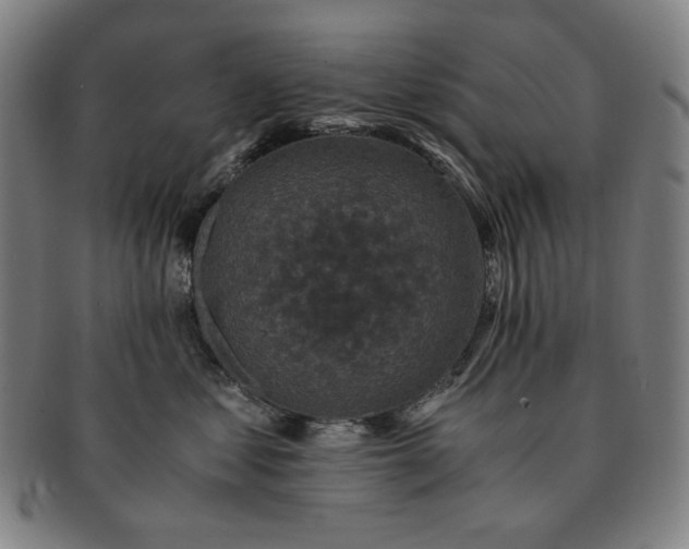 X0000091480621200708231402