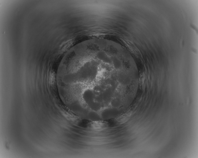 X0000091480623200708231401