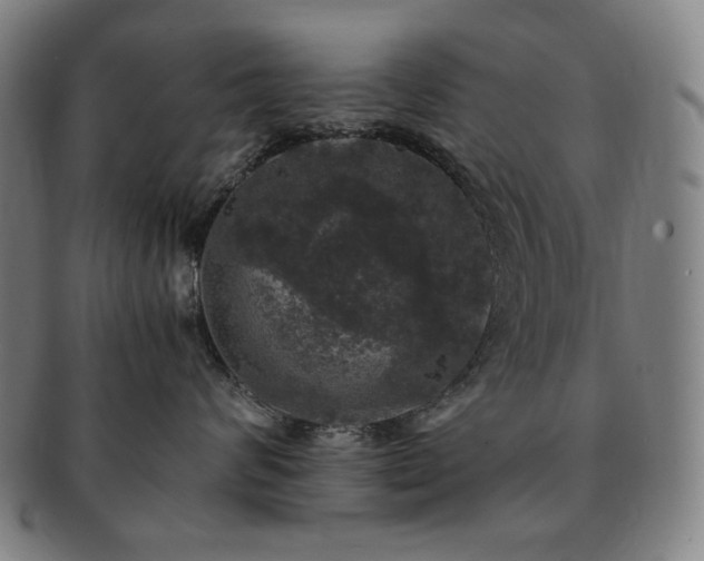 X0000091480624200708231401