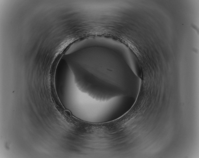 X0000091480626200708231401