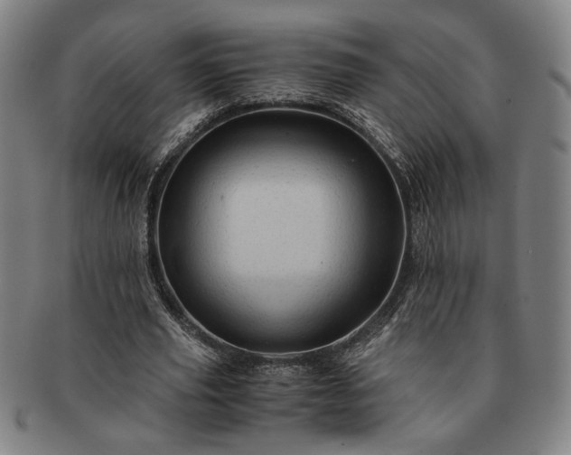 X0000091480629200708231401