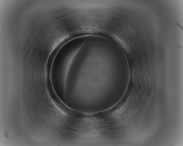 X0000091480630200708231401