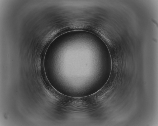 X0000091480631200708231401