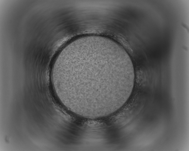 X0000091480632200708231401