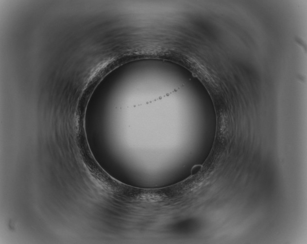 X0000091480636200708231401