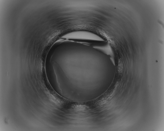 X0000091480637200708231401