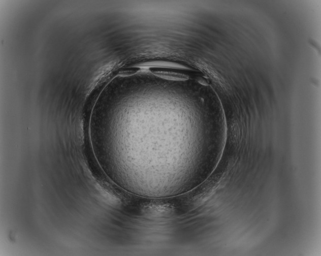 X0000091480638200708231401