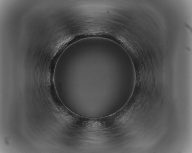 X0000091480640200708231401