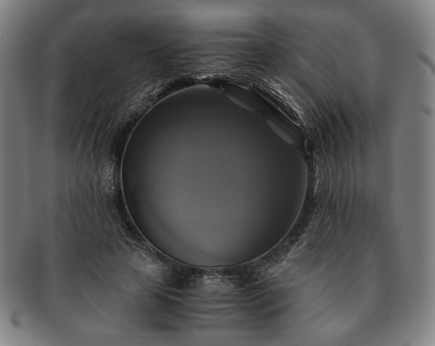 X0000091480641200708231401