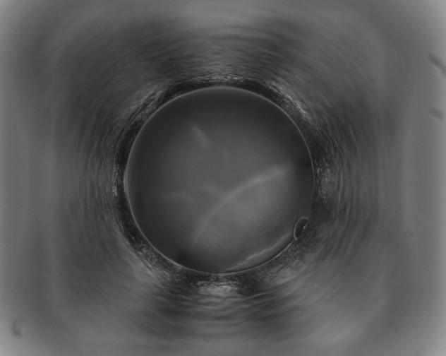 X0000091480643200708231401