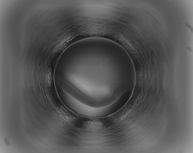 X0000091480644200708231401