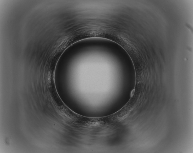 X0000091480646200708231401