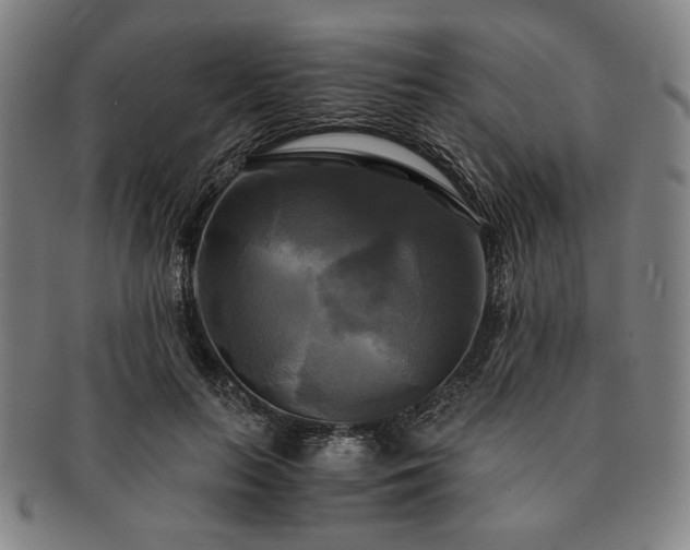 X0000091480647200708231401