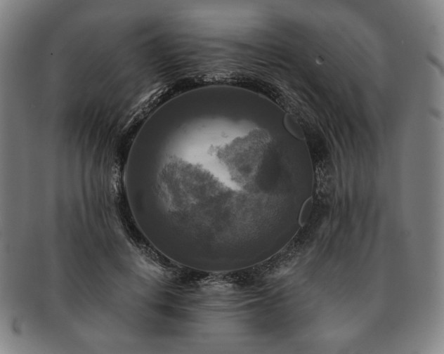 X0000091480648200708231401