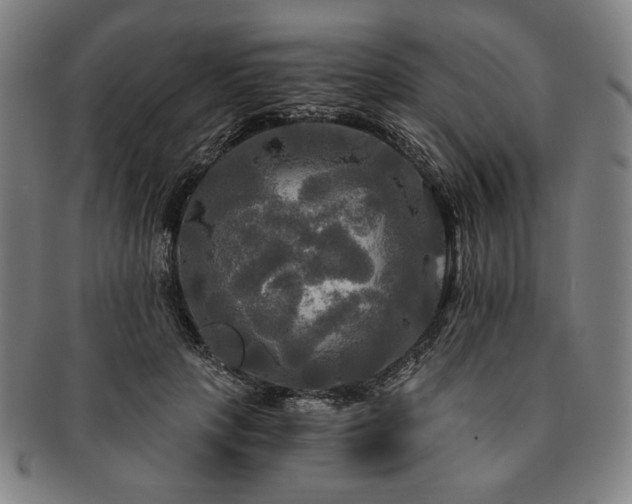 X0000091480649200708231401