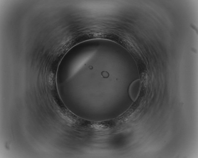 X0000091480650200708231401