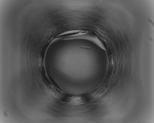 X0000091480651200708231401