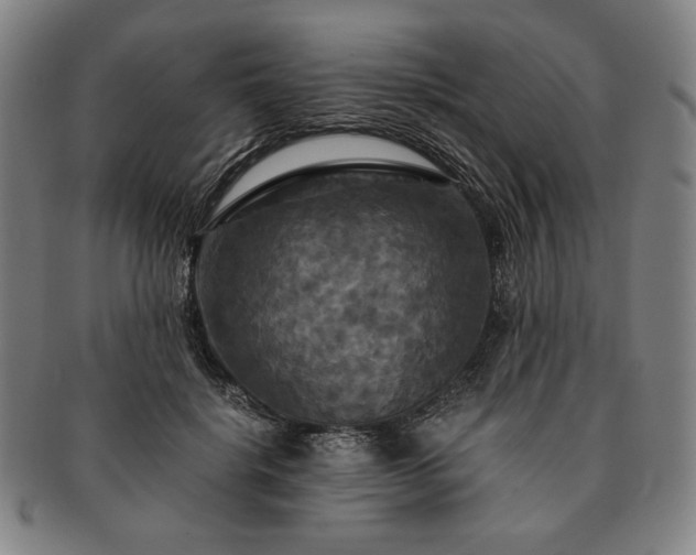 X0000091480652200708231401