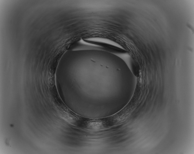 X0000091480653200708231401