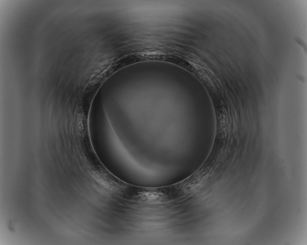 X0000091480654200708231401