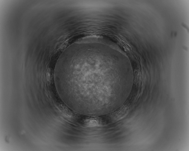 X0000091480655200708231401