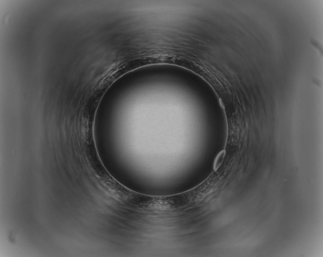 X0000091480656200708231401