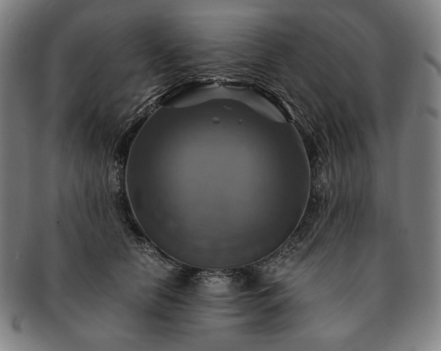 X0000091480658200708231401