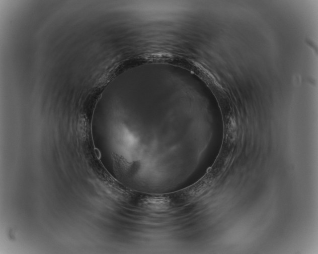 X0000091480659200708231401