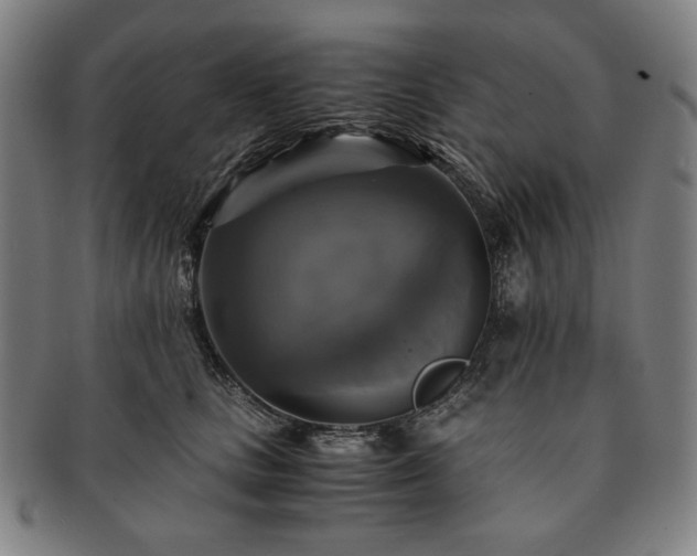 X0000091480661200708231401