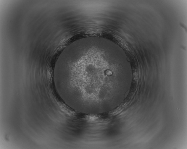 X0000091480662200708231401