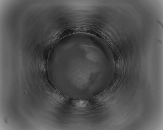 X0000091480663200708231401