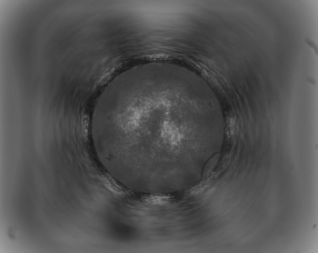 X0000091480664200708231401