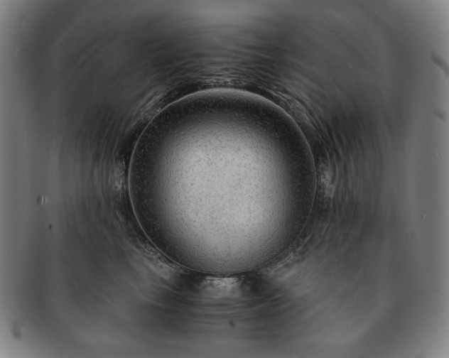 X0000091480665200708231401