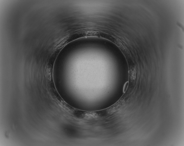 X0000091480666200708231401