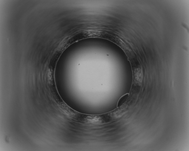 X0000091480667200708231401