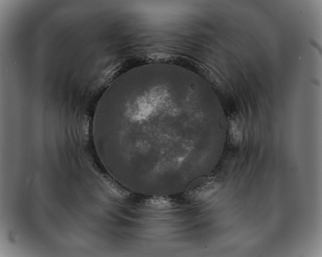 X0000091480668200708231401