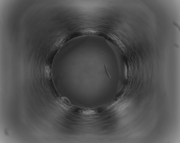 X0000091480669200708231401