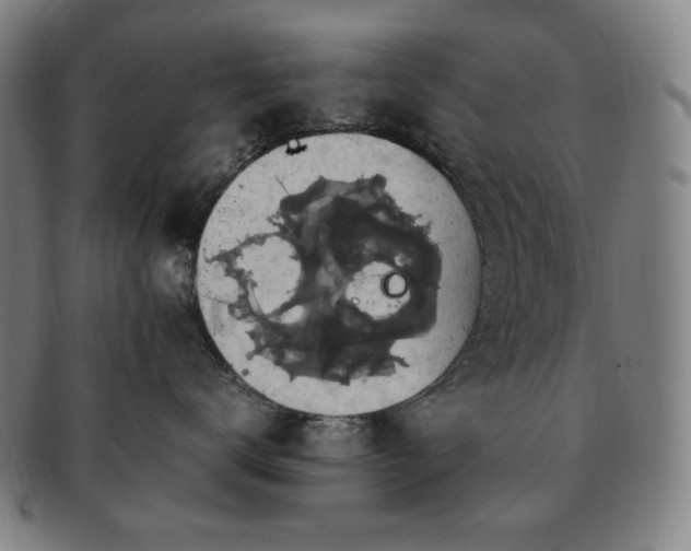 X0000091480672200708231401