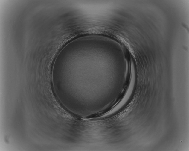 X0000091480673200708231401