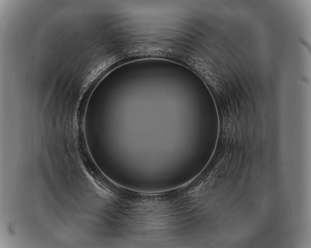 X0000091480674200708231401