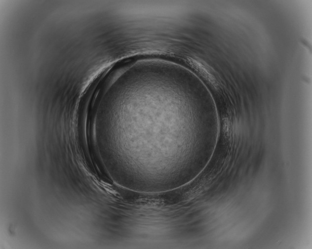 X0000091480676200708231401